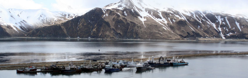 boats on the water in front of snow capped mountains