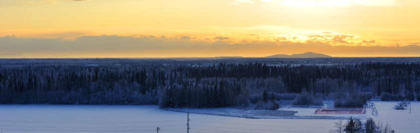 Snowy grounds and trees at dusk