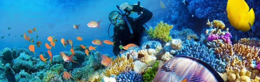 Gentleman scuba diving in Tahiti