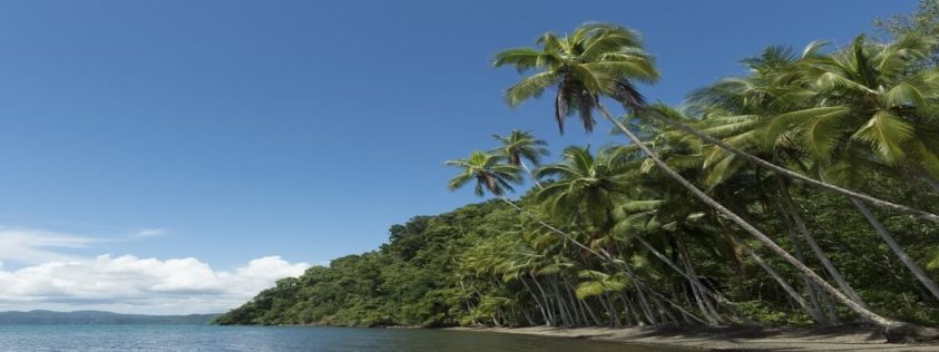 puerto jiminez golfo dulce costa rica