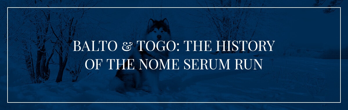 Balto & Togo: The History of the Nome Serum Run
