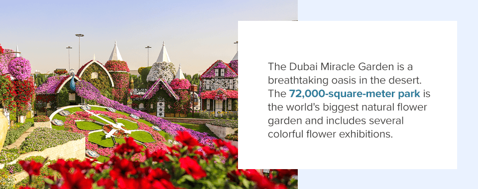 dubai miracle garden