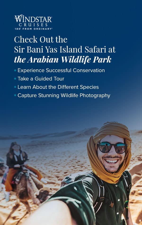 Check Out the Sir Bani Yas Island Safari at the Arabian Wildlife Park