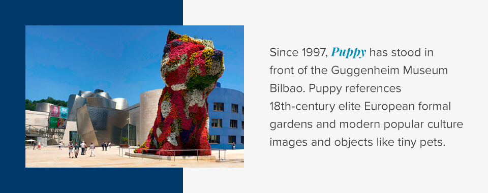 Puppy: Bilbao, Spain