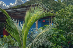 Beach bars that also serve delicious local eats are our favorite destinations on Caribbean cruises./Carolyn Spencer Brown