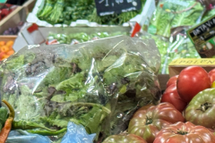 Green tomatoes 1