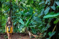 hero image caribbean hikes