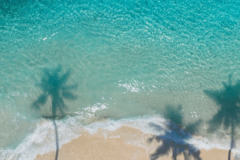 hero image tropical shutterstock
